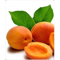 Как правильно формировать крону саженцев абрикоса для обеспечения обильного плодоношения