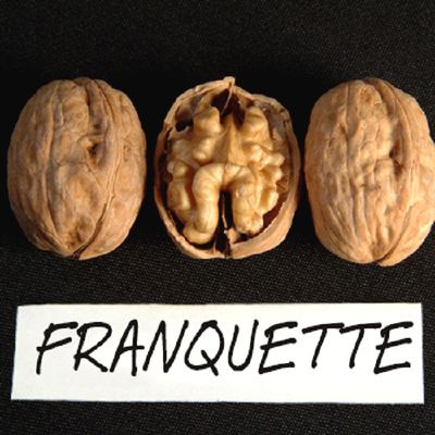 Саженцы грецкого ореха Franquette > описание и фото саженца
