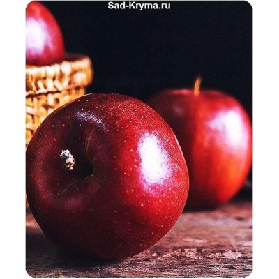Саженцы яблони Джонаголд Декоста > описание и цена саженца